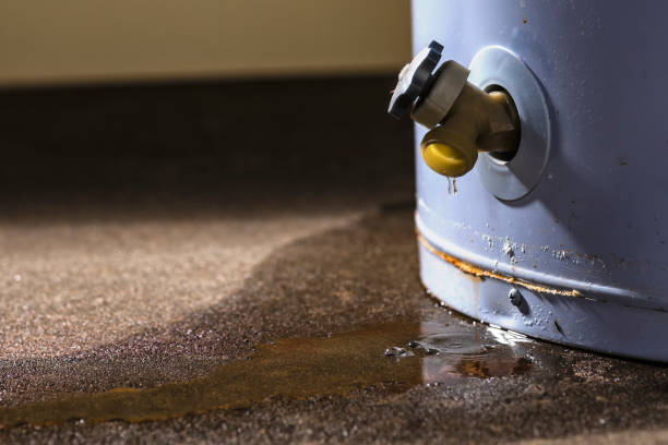 Best Sewage cleanup and water damage restoration  in Hayfield, VA