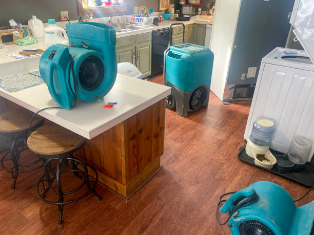Water damage restoration experts in Hayfield, VA