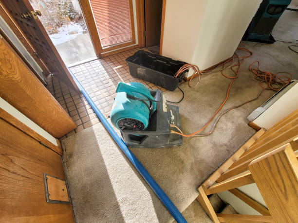 Hayfield, VA Water damage restoration Company