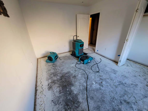 Best Flood restoration services  in Hayfield, VA