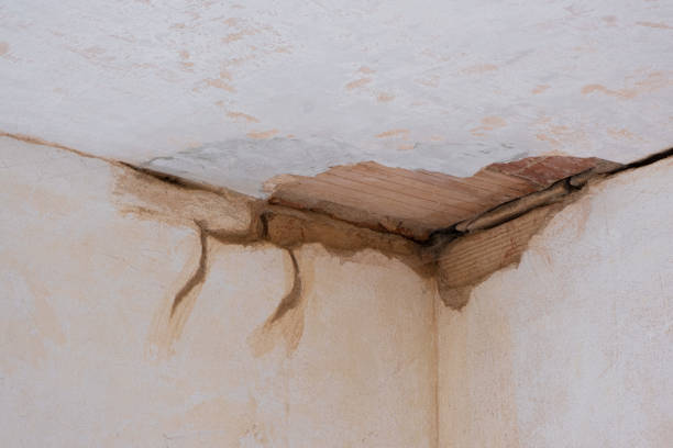 Hayfield, VA Water damage restoration Pros