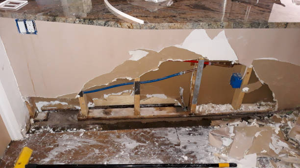 Best Professional water damage repair  in Hayfield, VA
