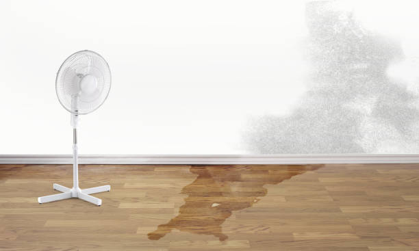 Local water damage restoration in Hayfield, VA
