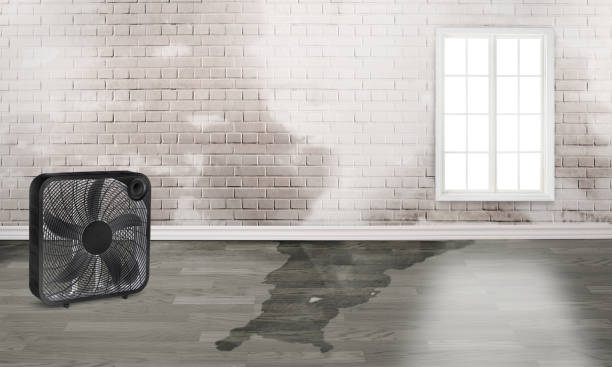 Best Emergency water damage restoration  in Hayfield, VA