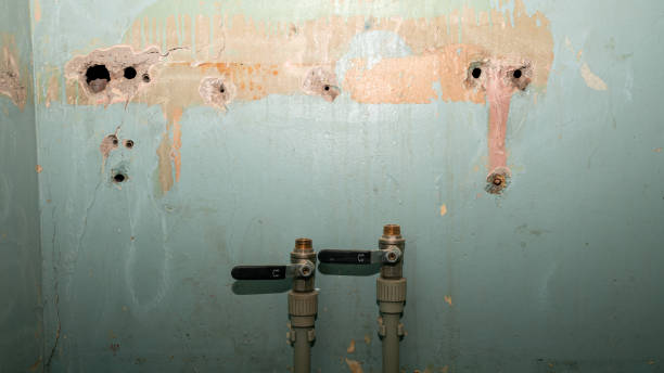 Best Professional water damage repair  in Hayfield, VA