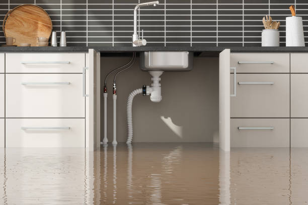Best Local water damage restoration  in Hayfield, VA