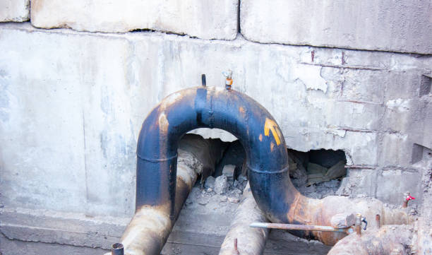 Best Professional water damage repair  in Hayfield, VA
