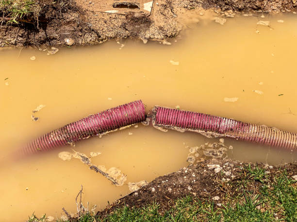 Best Water damage restoration near me  in Hayfield, VA