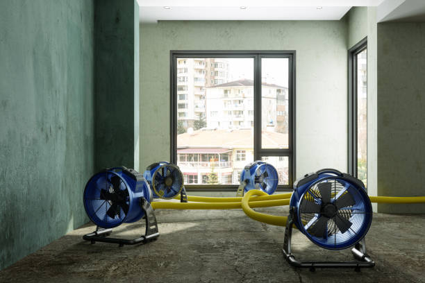 Best Sewage cleanup and water damage restoration  in Hayfield, VA