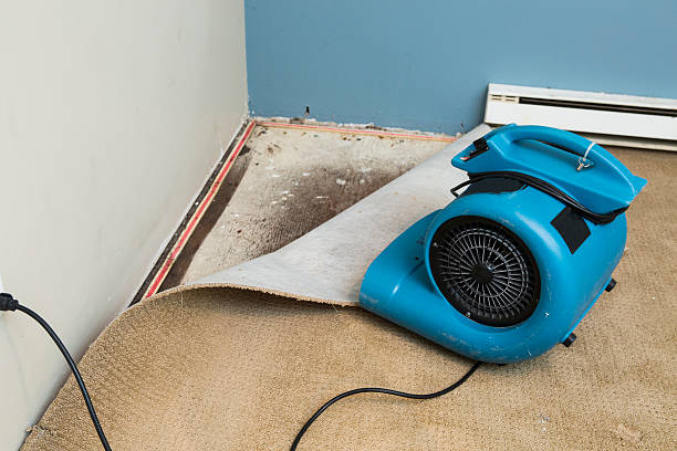 Best Flooded house restoration  in Hayfield, VA