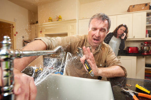 Best Flood damage cleanup  in Hayfield, VA